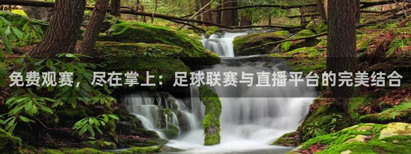 免费观赛，尽在掌上：足球联赛与直播平台的完美结合